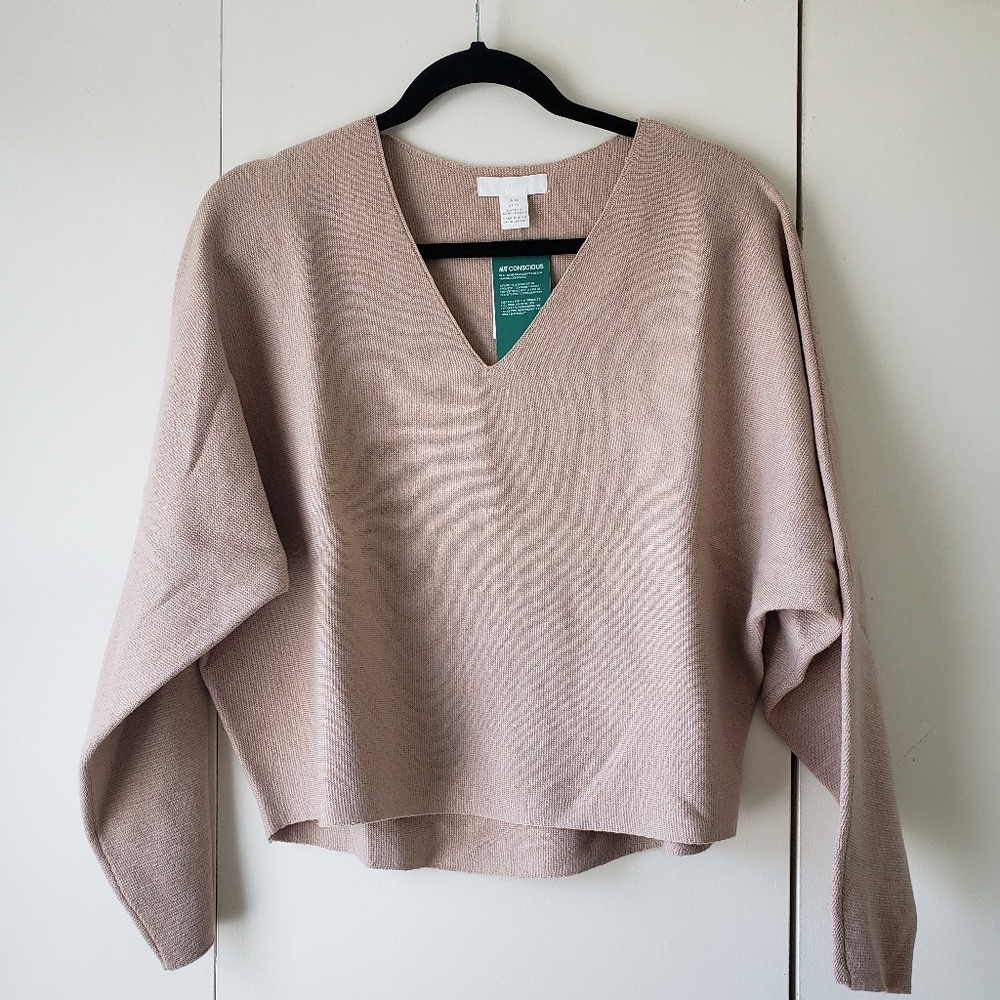 H&M Beige V-Neck Sweater